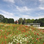 Friedhofserweiterung Gänserndorf